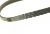 Поліклиновий ремінь (6PK923) BENTLEY BENTAYGA CITROEN JUMPY I FIAT BRAVA, BRAVO I, SCUDO FORD GALAXY I, GALAXY MK I HYUNDAI I10 II KIA PICANTO II, PICANTO III, RIO IV, STONIC 1.0-4.0D 05.89 Bosch (1987947938) зображення 5