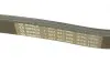 Ремень п-клиновый 6PK1555 Bosch (1987947949) изображение 4