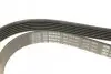 Фото Поліклиновий ремінь (6PK1693) AUDI 100 C4, A1, A3, A6 C4 HYUNDAI COUPE II, HIGHWAY, SANTA FÉ I, SONATA IV, TIBURON, TRAJET, TUCSON, XG KIA MAGENTIS I, SPORTAGE II LANCIA KAPPA 1.2-2.7 03.86-05.22 Bosch (1987947951) зображення 5