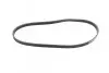 Фото Поліклиновий ремінь (4PK820) HONDA ACCORD VI, CITY, CITY III, CIVIC VI, CR-V I NISSAN ALMERA I, CABSTAR, NAVARA NP300, NT400 CABSTAR, PATHFINDER III SUZUKI SWIFT III 1.0-2.5D 12.89 Bosch (1 987 947 970) зображення 5