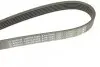 Фото Ремень п-клиновый 6PK1685 Bosch (1987947986) изображение 5