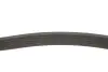 Фото Поліклиновий ремінь (6PK1110) CITROEN BERLINGO, EVASION, JUMPY I FIAT SCUDO, ULYSSE LADA 110, 111, 112, PRIORA NISSAN ALMERA II, ALMERA TINO, PRIMERA PEUGEOT 406, EXPERT 1.5-2.1D 02.94-07.18 Bosch (1987948304) зображення 2