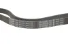Фото Поліклиновий ремінь (6PK1110) CITROEN BERLINGO, EVASION, JUMPY I FIAT SCUDO, ULYSSE LADA 110, 111, 112, PRIORA NISSAN ALMERA II, ALMERA TINO, PRIMERA PEUGEOT 406, EXPERT 1.5-2.1D 02.94-07.18 Bosch (1987948304) зображення 3