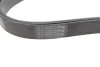 Фото Поліклиновий ремінь (8PK2188) JEEP CHEROKEE OPEL FRONTERA A, FRONTERA A SPORT 2.5D 09.96-09.01 Bosch (1987948314) зображення 2