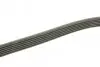 Фото Поліклиновий ремінь (6PK1530) CHEVROLET CORSA HYUNDAI ACCENT IV, CRETA KIA CERATO I, RIO III OPEL ASTRA F CLASSIC, CORSA B, TIGRA, VECTRA B 1.0-1.8 03.93 Bosch (1987948315) зображення 3
