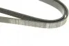 Фото Поліклиновий ремінь (6PK1530) CHEVROLET CORSA HYUNDAI ACCENT IV, CRETA KIA CERATO I, RIO III OPEL ASTRA F CLASSIC, CORSA B, TIGRA, VECTRA B 1.0-1.8 03.93 Bosch (1987948315) зображення 4