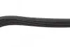Фото Поліклиновий ремінь (6PK1306) VOLVO C30, V50 FIAT 500, 500 C, DOBLO, IDEA, PALIO, PANDA, PUNTO, SIENA, STRADA FORD C-MAX, FOCUS C-MAX, FOCUS II LANCIA MUSA, YPSILON MAZDA 3, 5 1.3D-2.0LPG 06.03 Bosch (1987948343) зображення 4