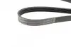 Поліклиновий ремінь (5PK1230) OPEL AGILA A, ASTRA G, ASTRA G CLASSIC, ASTRA H, ASTRA H CLASSIC, ASTRA H GTC, COMBO, COMBO TOUR, CORSA B, CORSA C, CORSA D, MERIVA A, TIGRA 1.0-1.4LPG 11.96 Bosch (1987948348) зображення 2