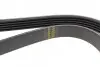 Поліклиновий ремінь (5PK1230) OPEL AGILA A, ASTRA G, ASTRA G CLASSIC, ASTRA H, ASTRA H CLASSIC, ASTRA H GTC, COMBO, COMBO TOUR, CORSA B, CORSA C, CORSA D, MERIVA A, TIGRA 1.0-1.4LPG 11.96 Bosch (1987948348) зображення 3