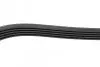 Поліклиновий ремінь (5PK1230) OPEL AGILA A, ASTRA G, ASTRA G CLASSIC, ASTRA H, ASTRA H CLASSIC, ASTRA H GTC, COMBO, COMBO TOUR, CORSA B, CORSA C, CORSA D, MERIVA A, TIGRA 1.0-1.4LPG 11.96 Bosch (1987948348) зображення 4