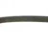 Фото Поліклиновий ремінь (6PK1743) CITROEN C-CROSSER, C-CROSSER ENTERPRISE FORD GALAXY II, GALAXY MK II, MONDEO IV, S-MAX LAND ROVER FREELANDER 2 MITSUBISHI OUTLANDER II PEUGEOT 206 2.0D/2.2D 12.99 Bosch (1987948360) зображення 3