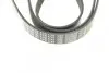 Фото Поліклиновий ремінь (6PK1743) CITROEN C-CROSSER, C-CROSSER ENTERPRISE FORD GALAXY II, GALAXY MK II, MONDEO IV, S-MAX LAND ROVER FREELANDER 2 MITSUBISHI OUTLANDER II PEUGEOT 206 2.0D/2.2D 12.99 Bosch (1987948360) зображення 5