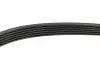 Фото Поліклиновий ремінь (6PK1215) IVECO DAILY III, DAILY IV, DAILY V, DAILY VI VOLVO C30, C70 II, S40 II, V50 CHEVROLET AVEO CITROEN C1, C4, C4 GRAND PICASSO I, C4 I, C4 PICASSO I 1.0-3.0D 07.99 Bosch (1987948391) зображення 3