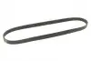 Фото Поліклиновий ремінь (5PK900) ALFA ROMEO 145, 146, 155 MITSUBISHI LANCER CARGO, LANCER VII RENAULT TWINGO I 1.2-1.9D 03.93-12.13 Bosch (1987948398) зображення 2