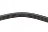 Фото Поліклиновий ремінь (5PK950) AUDI R8, R8 SPYDER BMW 3 (E46) FIAT PALIO, SIENA HONDA LEGEND III, PRELUDE IV KIA CLARUS LAMBORGHINI GALLARDO MAZDA 626 II, 626 III 1.3-5.0 11.82-07.15 Bosch (1987948400) зображення 4