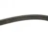 Фото Поліклиновий ремінь (5PK1135) AUDI A6 ALLROAD C6, A6 C6, A8 D3 CITROEN XM DACIA LOGAN FORD ESCORT CLASSIC, ESCORT VI, FIESTA, FIESTA IV HONDA CITY V, CIVIC IX, CIVIC VIII, JAZZ 1.2-4.2 05.89 Bosch (1987948410) зображення 3