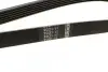 Фото Поліклиновий ремінь (6PK1520, кондиціонер приводний) FORD C-MAX, FOCUS C-MAX, FOCUS II SEAT AROSA SKODA OCTAVIA I VW LUPO I 1.0/1.4/1.8D 10.98-09.12 Bosch (1987948425) зображення 2