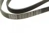 Фото Поліклиновий ремінь (6PK1520, кондиціонер приводний) FORD C-MAX, FOCUS C-MAX, FOCUS II SEAT AROSA SKODA OCTAVIA I VW LUPO I 1.0/1.4/1.8D 10.98-09.12 Bosch (1987948425) зображення 3