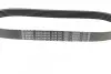 Фото Поліклиновий ремінь (6PK730) CITROEN BERLINGO, C2, C2 ENTERPRISE, C3 I, C3 II, C3 PLURIEL, C4, C4 I, C-ELYSEE, JUMPER I, JUMPY I, XSARA, ZX PEUGEOT 1007, 206, 207, 301, 306, 307 1.0-2.0 03.91 Bosch (1987948428) зображення 2