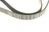 Поліклиновий ремінь (6PK1100) AUDI A1, A3, A3 ALLSTREET, A4 ALLROAD B8, A4 B8, A5, A6 C7, Q2, Q3, Q5, TT BMW 3 (E90), 3 (E92), 3 (E93) CITROEN EVASION, JUMPER I, JUMPER II, XANTIA 1.3-4.0 10.86 Bosch (1987948437) зображення 3