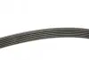 Фото Поліклиновий ремінь (6PK1525) CITROEN NEMO FIAT DOBLO, DOBLO CARGO, FIORINO, LINEA, QUBO FORD ESCORT V, FIESTA III, ORION III OPEL ASTRA F, COMBO, COMBO TOUR, CORSA B, TIGRA 1.3D-1.8 01.92 Bosch (1987948447) зображення 3