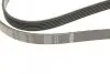 Фото Поліклиновий ремінь (6PK1525) CITROEN NEMO FIAT DOBLO, DOBLO CARGO, FIORINO, LINEA, QUBO FORD ESCORT V, FIESTA III, ORION III OPEL ASTRA F, COMBO, COMBO TOUR, CORSA B, TIGRA 1.3D-1.8 01.92 Bosch (1987948447) зображення 4