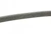 Фото Ремень генератора Ford Connect 1.8 TDCI - Ремень генератора Ford Connect 1.8 TDCI. Bosch (1987948453) изображение 2