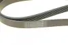 Фото Ремень генератора Ford Connect 1.8 TDCI - Ремень генератора Ford Connect 1.8 TDCI. Bosch (1987948453) изображение 4