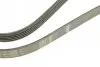 Фото Поліклиновий ремінь (5PK1450) CHEVROLET AVEO / KALOS CITROEN XM FIAT STILO OPEL ASTRA G, ASTRA G CLASSIC, ASTRA H, ASTRA H CLASSIC, ASTRA H GTC, CORSA D, MERIVA A, SIGNUM, VECTRA C 1.4-3.0 10.84 Bosch (1987948480) зображення 4