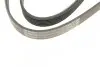 Фото Поліклиновий ремінь (6PK1293) AUDI 100 C4, A6 C4 SEAT TOLEDO II VW BORA, BORA I, GOLF IV 2.2/2.3 12.90-06.06 Bosch (1987948487) зображення 5