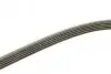 Фото Поліклиновий ремінь (5PK1432) AUDI A4 B5, A4 B6, A6 C5 FIAT DUCATO SKODA SUPERB I VW BORA, BORA I, GOLF IV, NEW BEETLE, PASSAT B5, PASSAT B5.5 1.9D/2.0D/2.5D 03.89-09.10 Bosch (1987948491) зображення 2