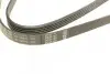 Фото Поліклиновий ремінь (5PK1432) AUDI A4 B5, A4 B6, A6 C5 FIAT DUCATO SKODA SUPERB I VW BORA, BORA I, GOLF IV, NEW BEETLE, PASSAT B5, PASSAT B5.5 1.9D/2.0D/2.5D 03.89-09.10 Bosch (1987948491) зображення 3