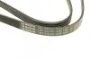 Фото Поліклиновий ремінь (5PK1432) AUDI A4 B5, A4 B6, A6 C5 FIAT DUCATO SKODA SUPERB I VW BORA, BORA I, GOLF IV, NEW BEETLE, PASSAT B5, PASSAT B5.5 1.9D/2.0D/2.5D 03.89-09.10 Bosch (1987948491) зображення 4