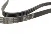 Фото Поліклиновий ремінь (5PK1212) CHEVROLET CRUZE FIAT STILO HYUNDAI ACCENT IV, I20 ACTIVE, I20 II, I30 KIA CEE'D, PICANTO II, PRO CEE'D, RIO III OPEL ASTRA G, ASTRA G CLASSIC 1.2-1.8 02.98 Bosch (1987948494) зображення 3