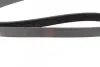Фото Поліклиновий ремінь (6PK1318) FIAT FIORINO, TIPO OPEL AGILA A, AGILA B, ASTRA H, ASTRA H GTC, COMBO, COMBO TOUR, CORSA C, CORSA D, MERIVA A, TIGRA SUBARU JUSTY III SUZUKI IGNIS II 1.3D 06.03 Bosch (1987948498) зображення 2
