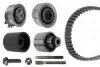 Фото Комплект ГРМ VW T5/ Caddy/Crafter 1.6TDI-2.0TDI 09 Bosch (1987948959) зображення 1