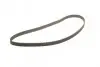 Фото Ремінь ГРМ DAEWOO BROUGHAM, LEGANZA, PRINCE OPEL ASTRA F, CALIBRA A, FRONTERA A SPORT, KADETT E, OMEGA A, OMEGA B, VECTRA A, VECTRA B 1.6/1.8/2.0 09.84-04.04 Bosch (1987949457) зображення 2