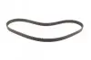 Фото Ремінь ГРМ AUDI A1, A3, A4 B6, A4 B7, A6 C6, TT SEAT ALTEA, ALTEA XL, EXEO, EXEO ST, LEON, TOLEDO III SKODA OCTAVIA II VW EOS, GOLF PLUS V, GOLF V, GOLF VI, JETTA III, PASSAT B6 2.0 07.02-11.17 Bosch (1987949617) зображення 5