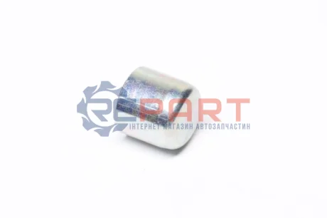 Ковпачок BOSCH 2410505007 Купити в Україні