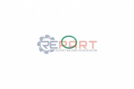 Ущільнююче кільце AUDI A4 B5, A6 C5, A8 D2 VW PASSAT B5 2.5D 01.97-01.05 Bosch 2430210080 Купити в Україні