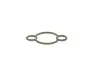 Элемент насоса Common Rail Bosch (2440210043) изображение 1