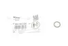 Элемент насоса Common Rail Bosch (F00N203596) изображение 1
