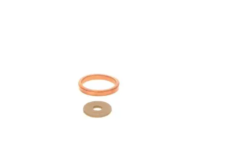 Элемент насоса Common Rail Bosch F00R0P1462