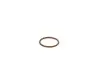 Фото Елемент форсунки Common Rail Bosch (F00VP01005) изображение 2