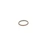Фото Елемент форсунки Common Rail Bosch (F00VP01005) изображение 3
