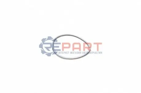 Прокладка паливного насоса Renault Master/Trafic 2.5dCi 01 Bosch F01M100114 Купити в Україні