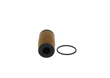 Масляний фільтр FIAT TALENTO NISSAN INTERSTAR, NV250, NV300, PRIMASTAR, QASHQAI II RENAULT CAPTUR II, CLIO V, ESPACE V, EXPRESS, GRAND KANGOO III, KADJAR, KANGOO EXPRESS 1.5D/2.0D 06.18 Bosch F026407317 Купити в Україні