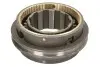 Філія Peterbus BPART (575102103090PRIK001) зображення 2