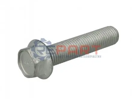 Гвинт кришки маточини BPW 0250709600