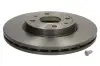 Диск гальмівний (передній) Citroen Nemo/Peugeot Bipper 08- (258x22) 09584311